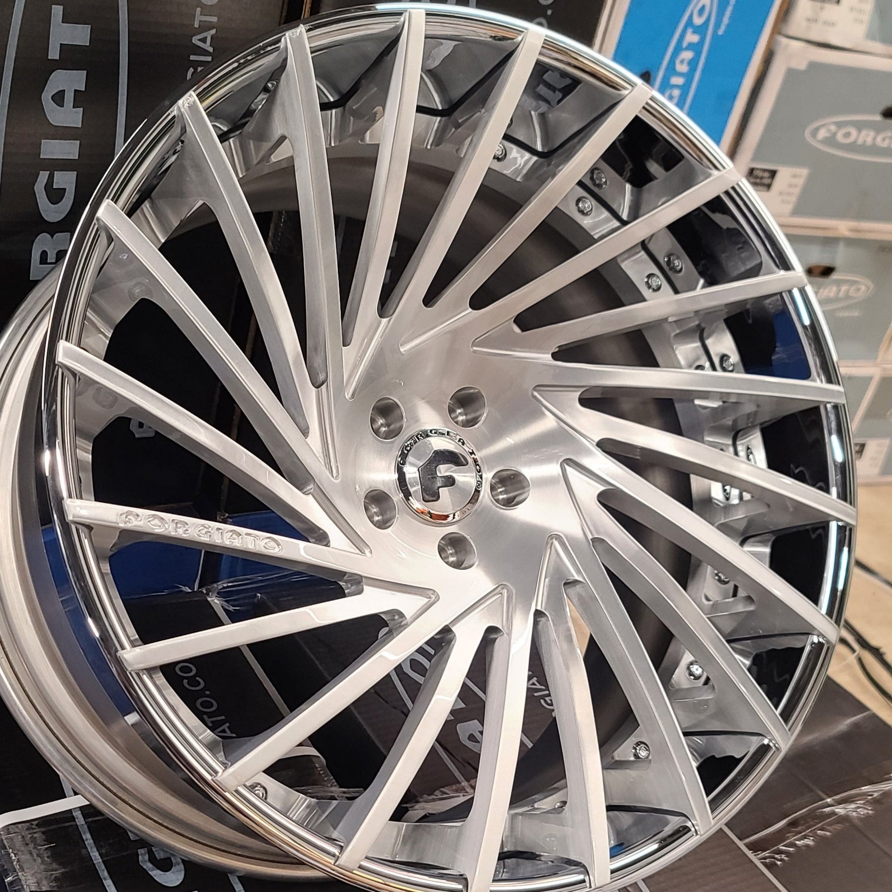 A single green leaf against a white background.