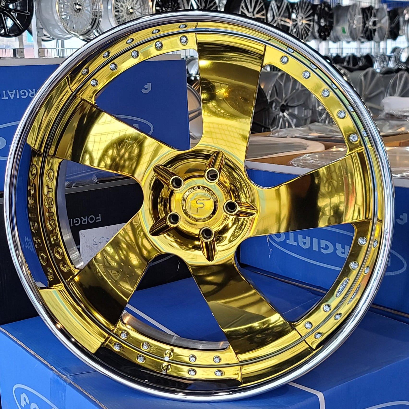 A single green leaf against a white background.