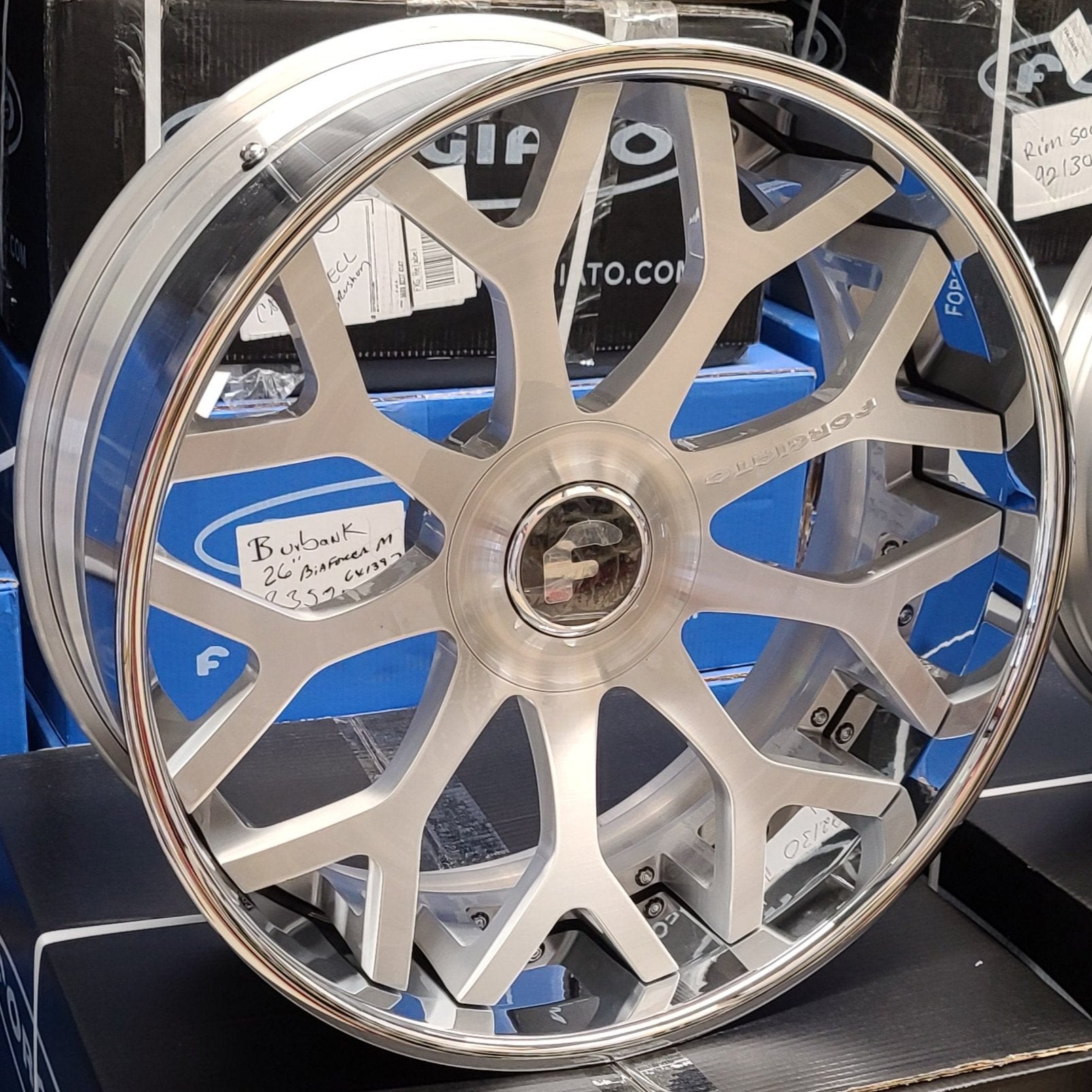 A single green leaf against a white background.