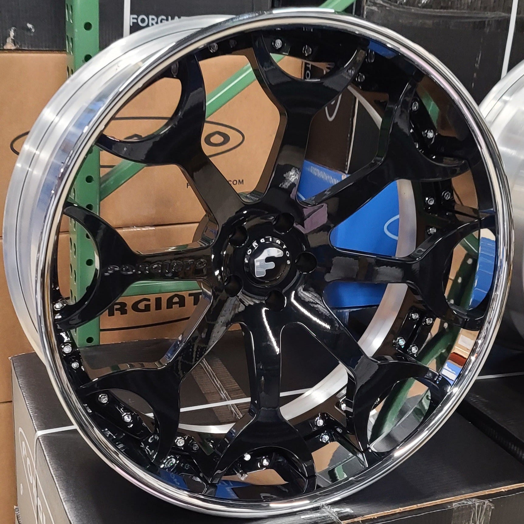 A single green leaf against a white background.