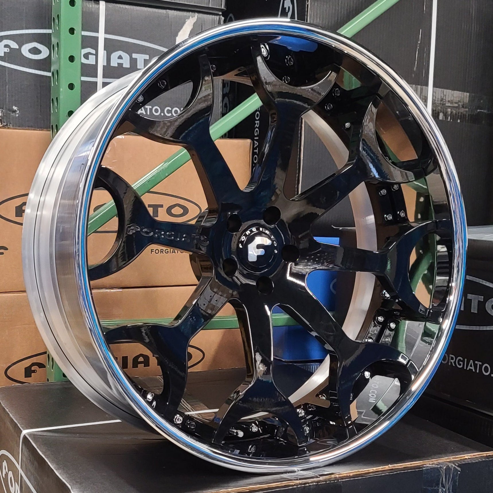 A single green leaf against a white background.