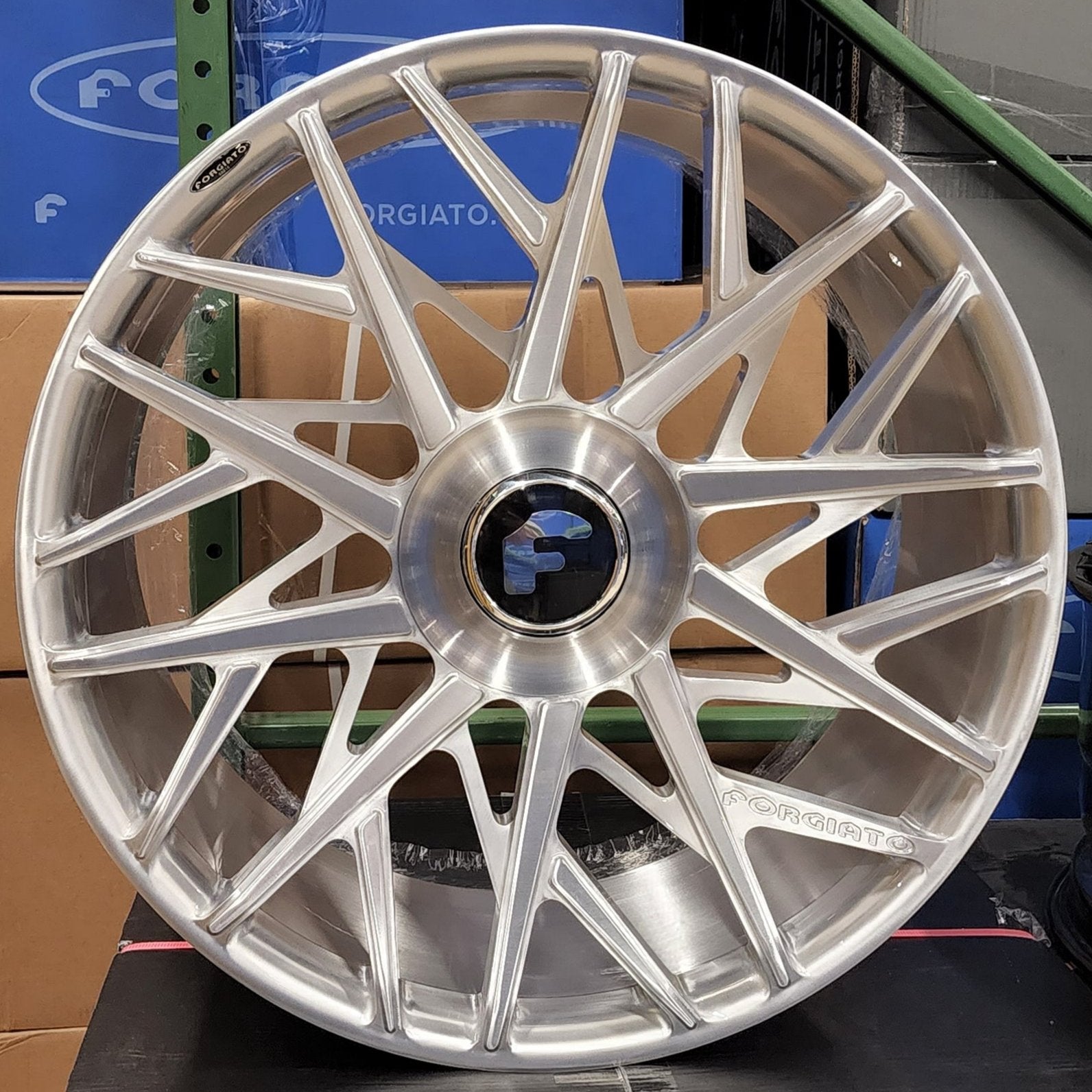 A single green leaf against a white background.