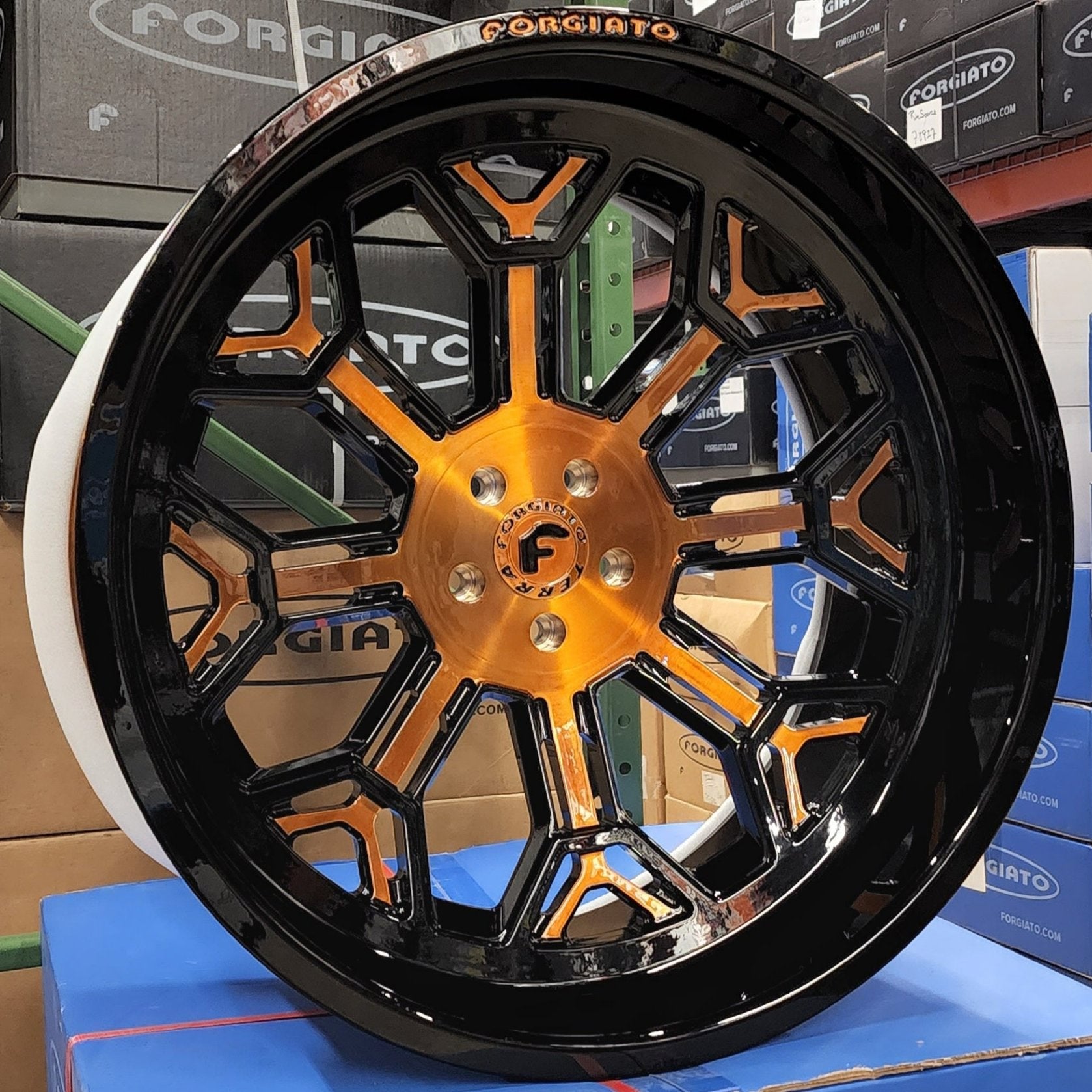 A single green leaf against a white background.