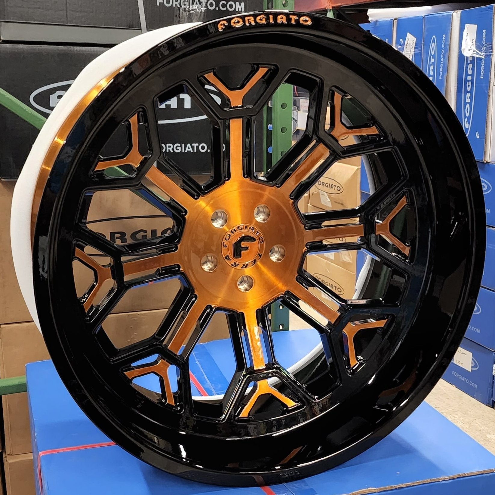 A single green leaf against a white background.