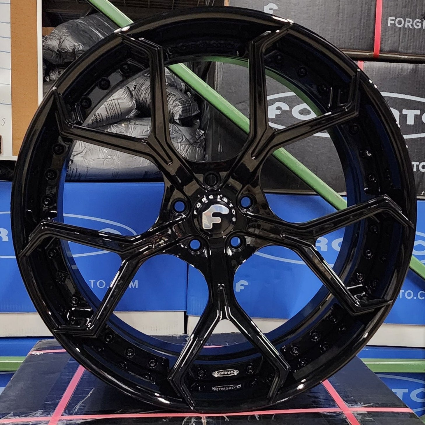 A single green leaf against a white background.