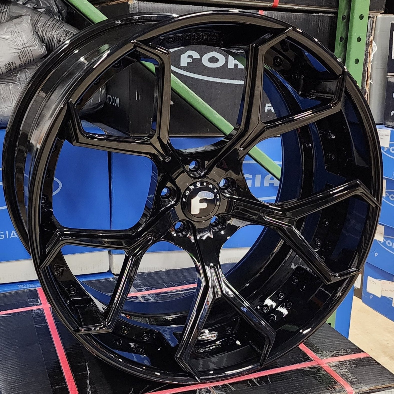 A single green leaf against a white background.