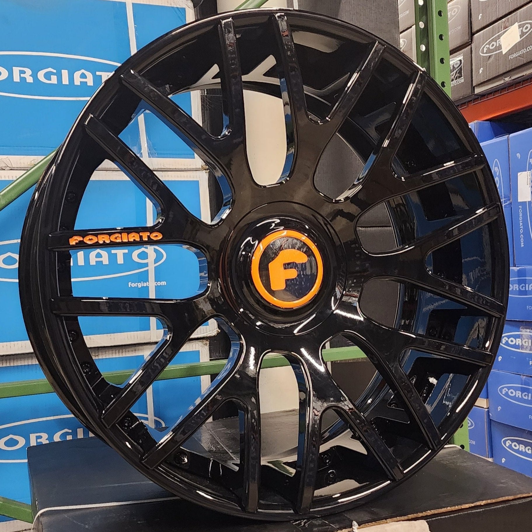 A single green leaf against a white background.