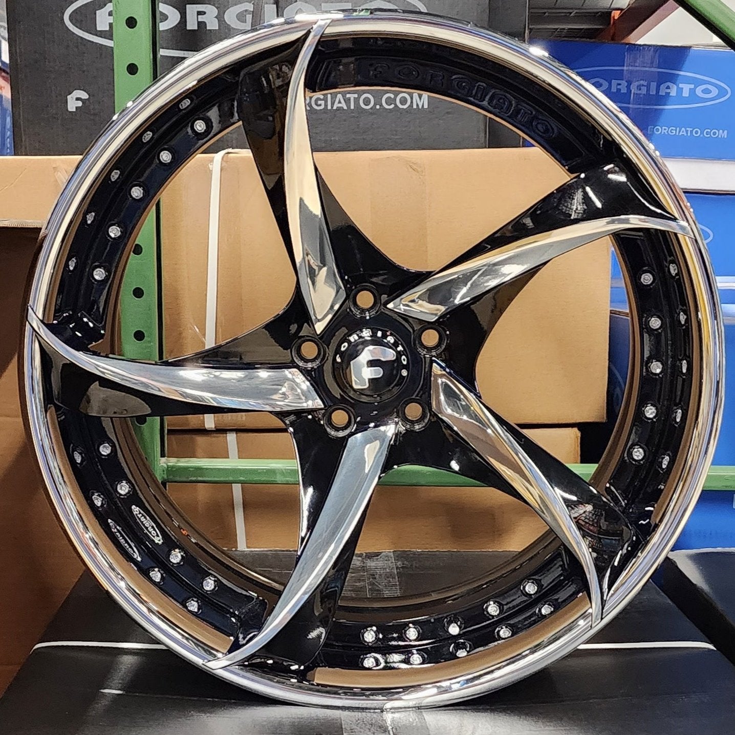 A single green leaf against a white background.