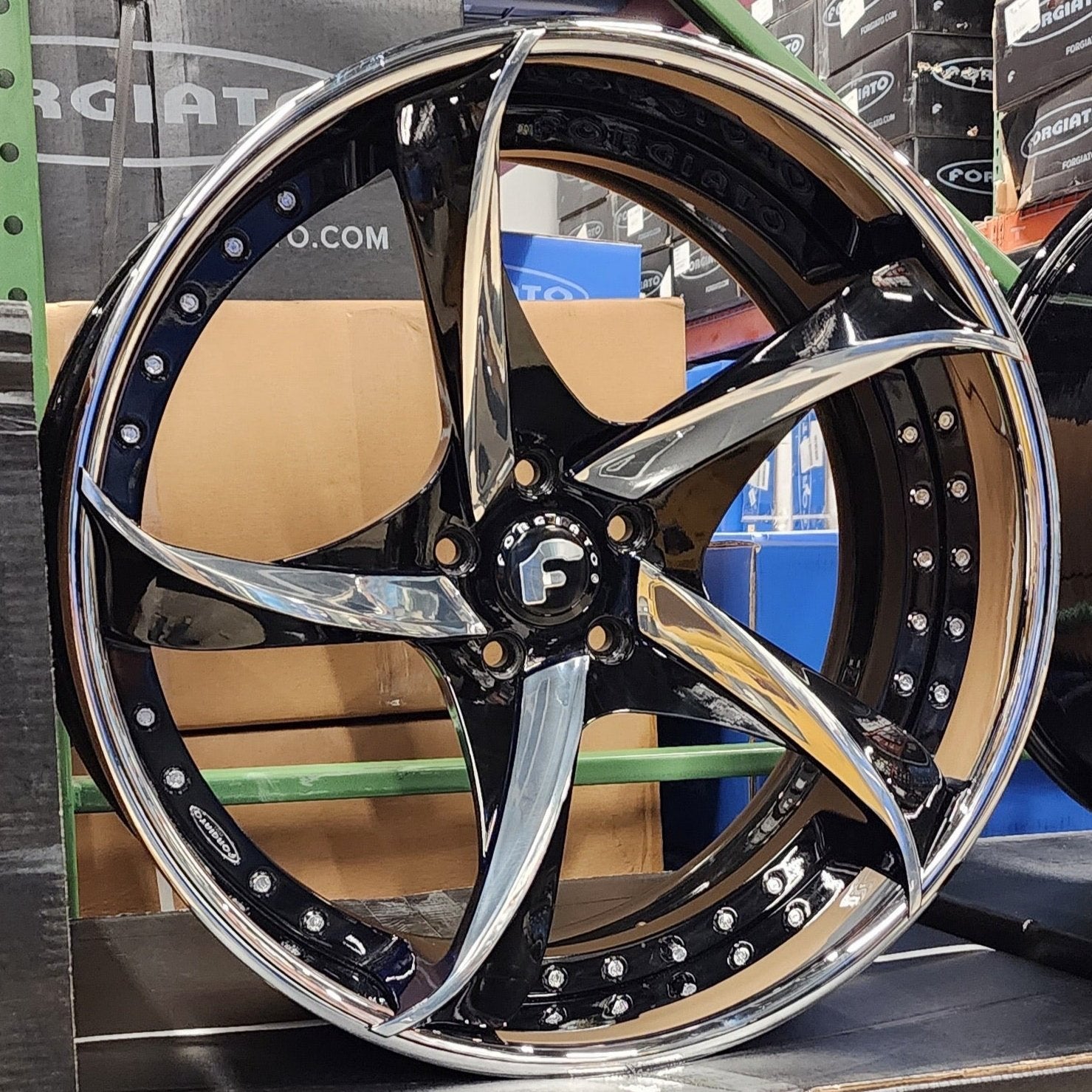 A single green leaf against a white background.