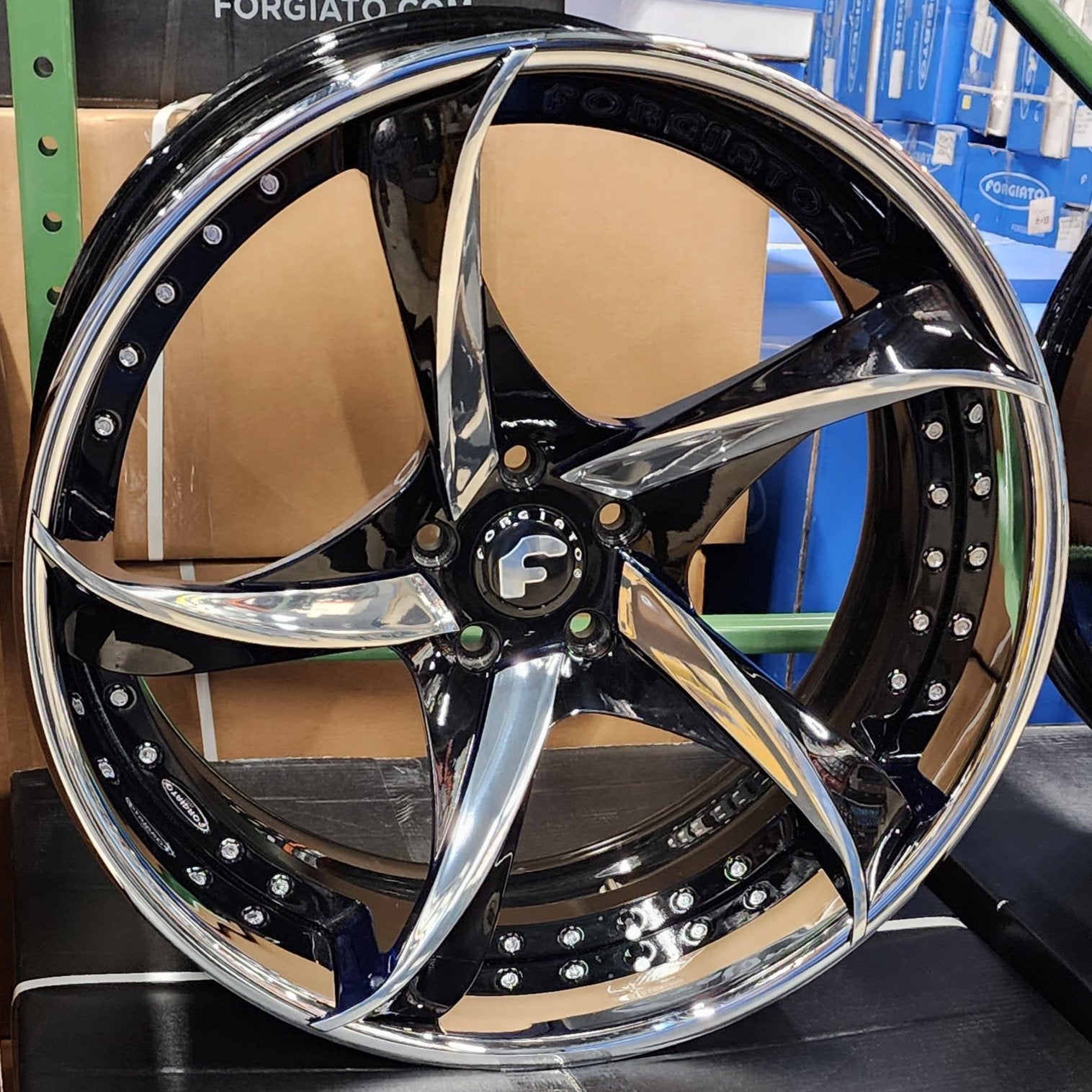 A single green leaf against a white background.