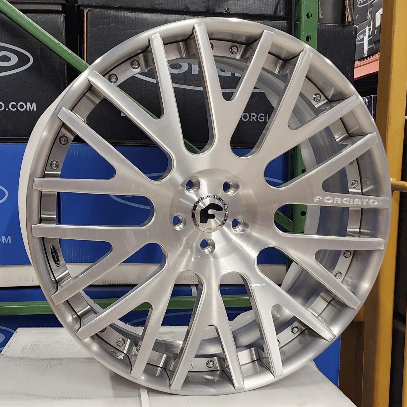 A single green leaf against a white background.