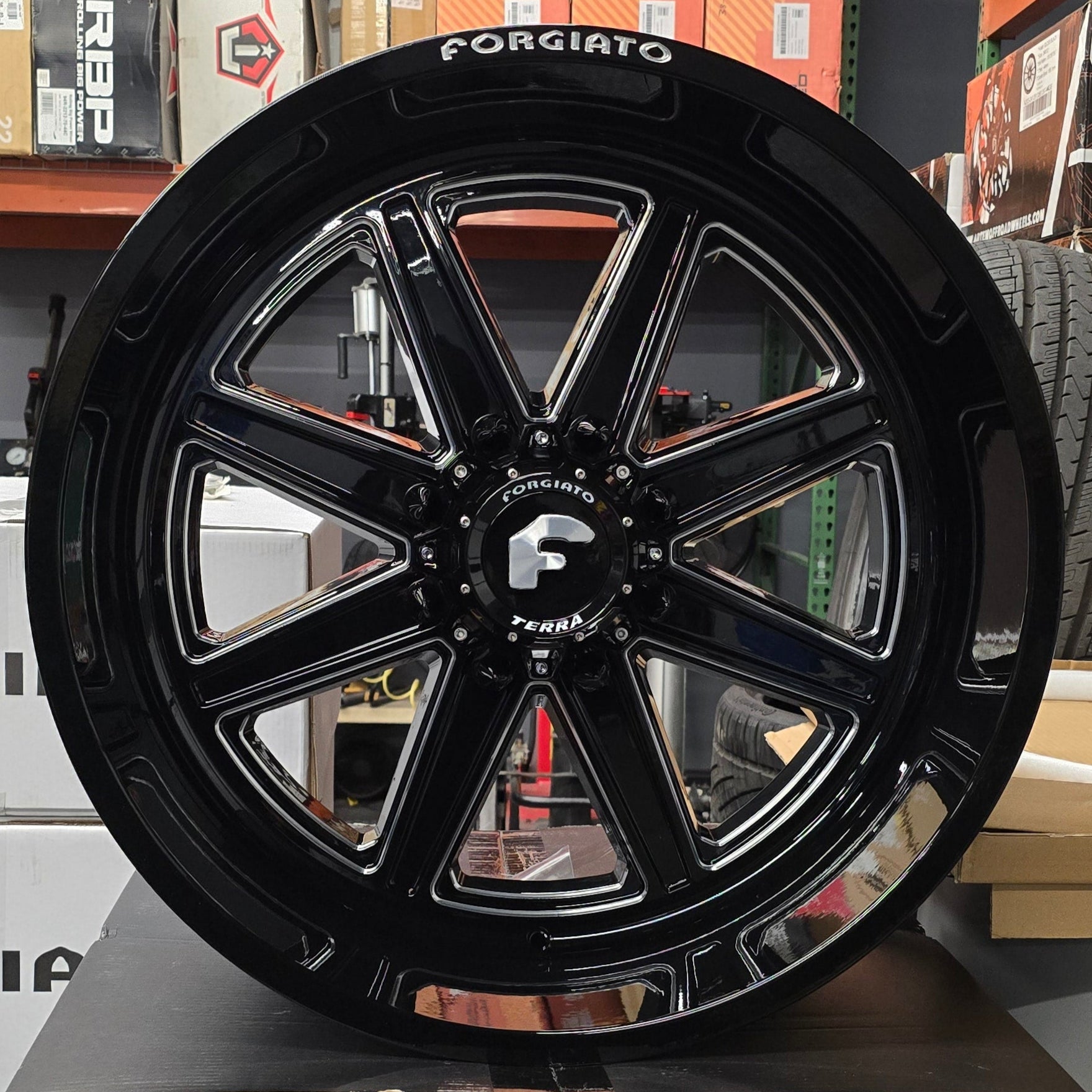 A single green leaf against a white background.