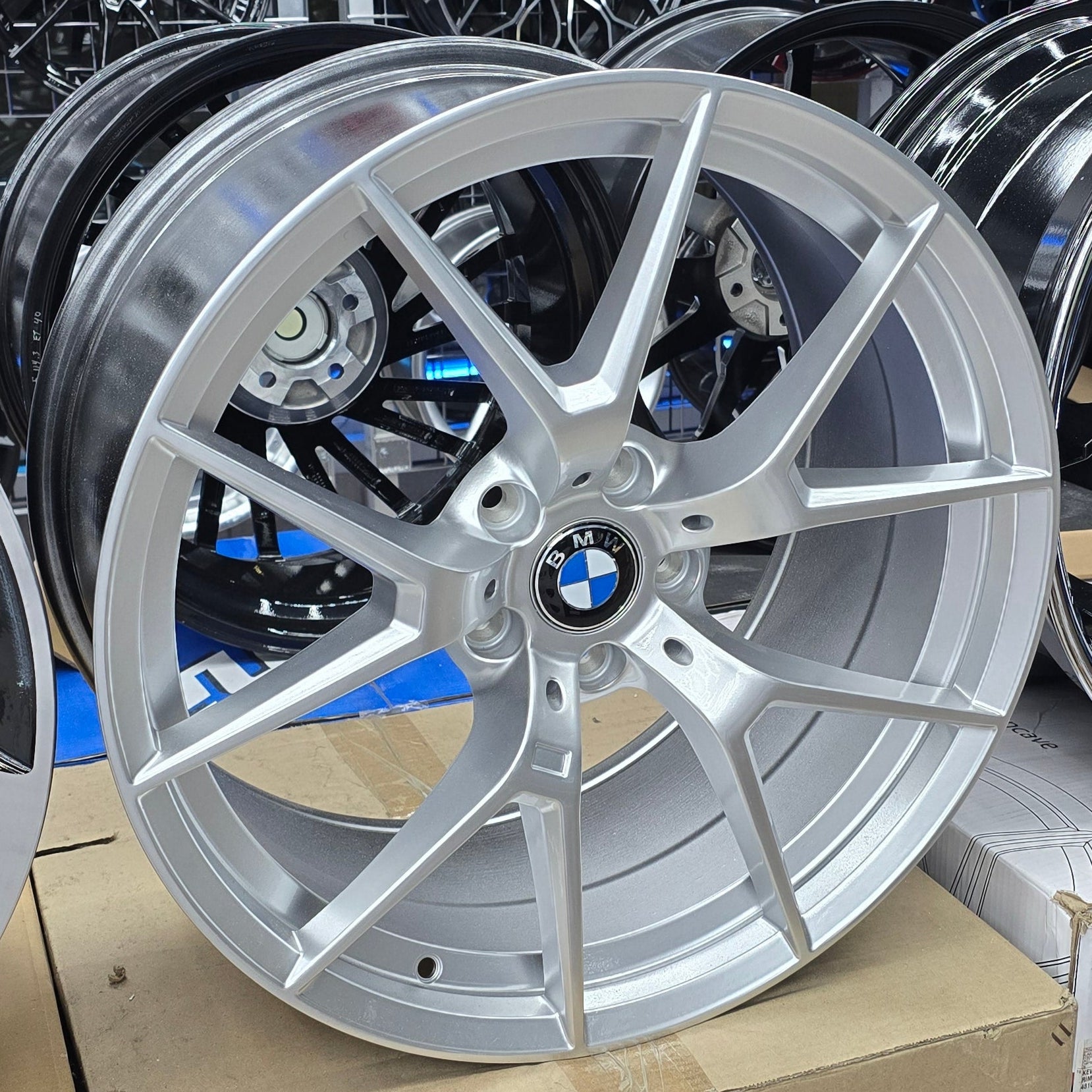 A single green leaf against a white background.