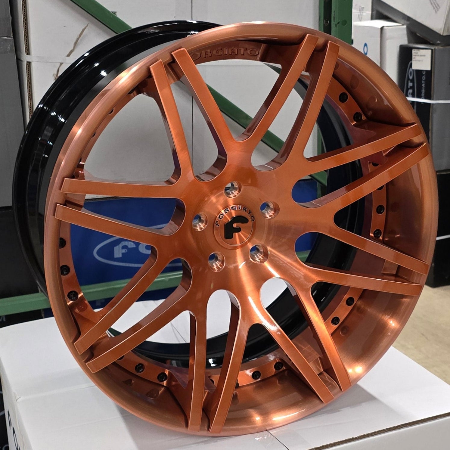 A single green leaf against a white background.