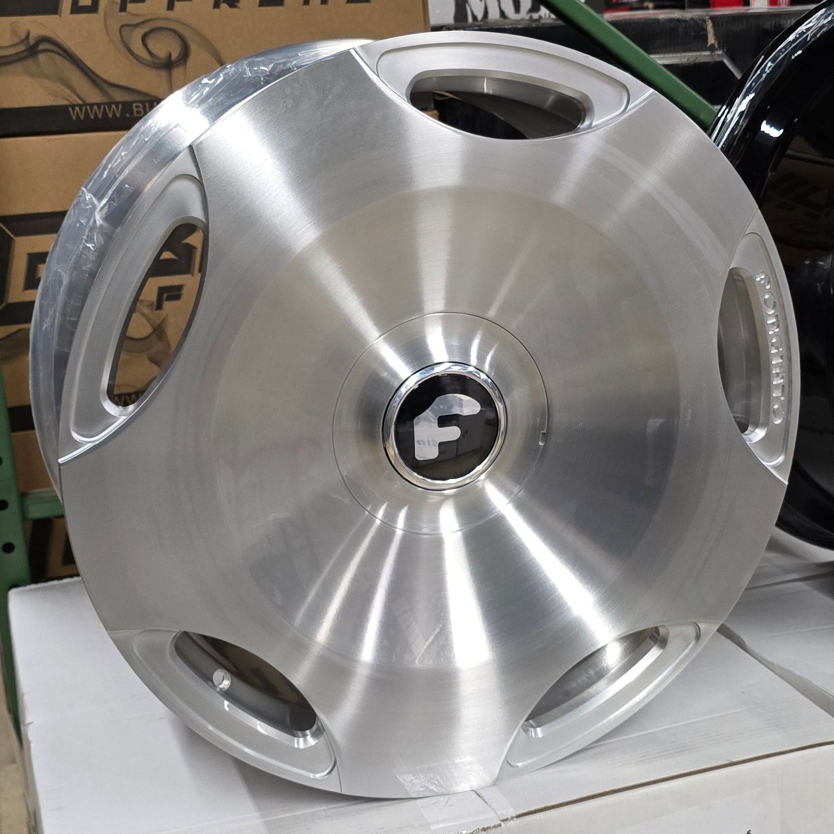 A single green leaf against a white background.