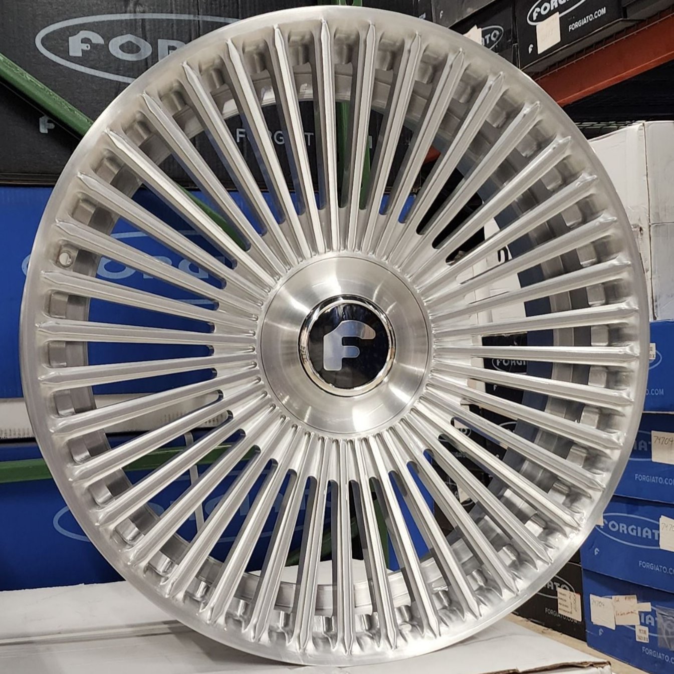 A single green leaf against a white background.