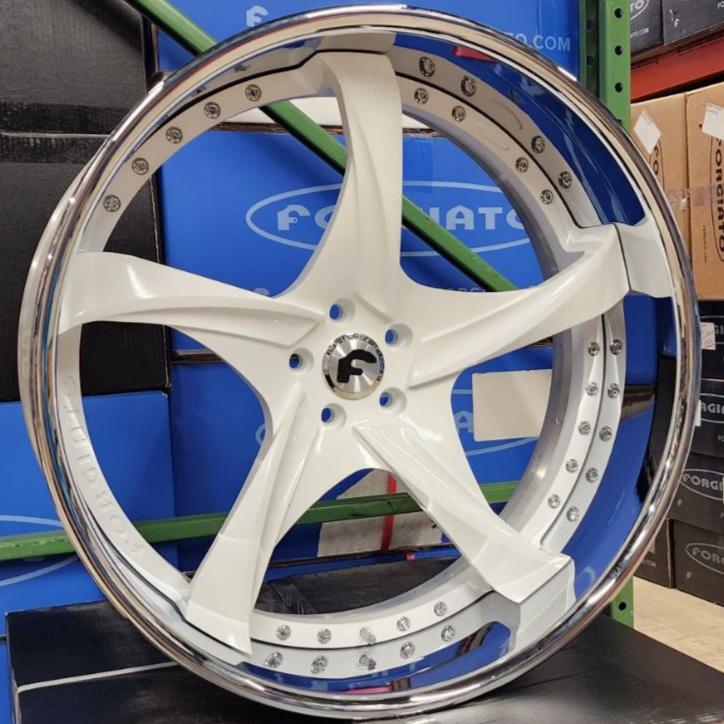 A single green leaf against a white background.