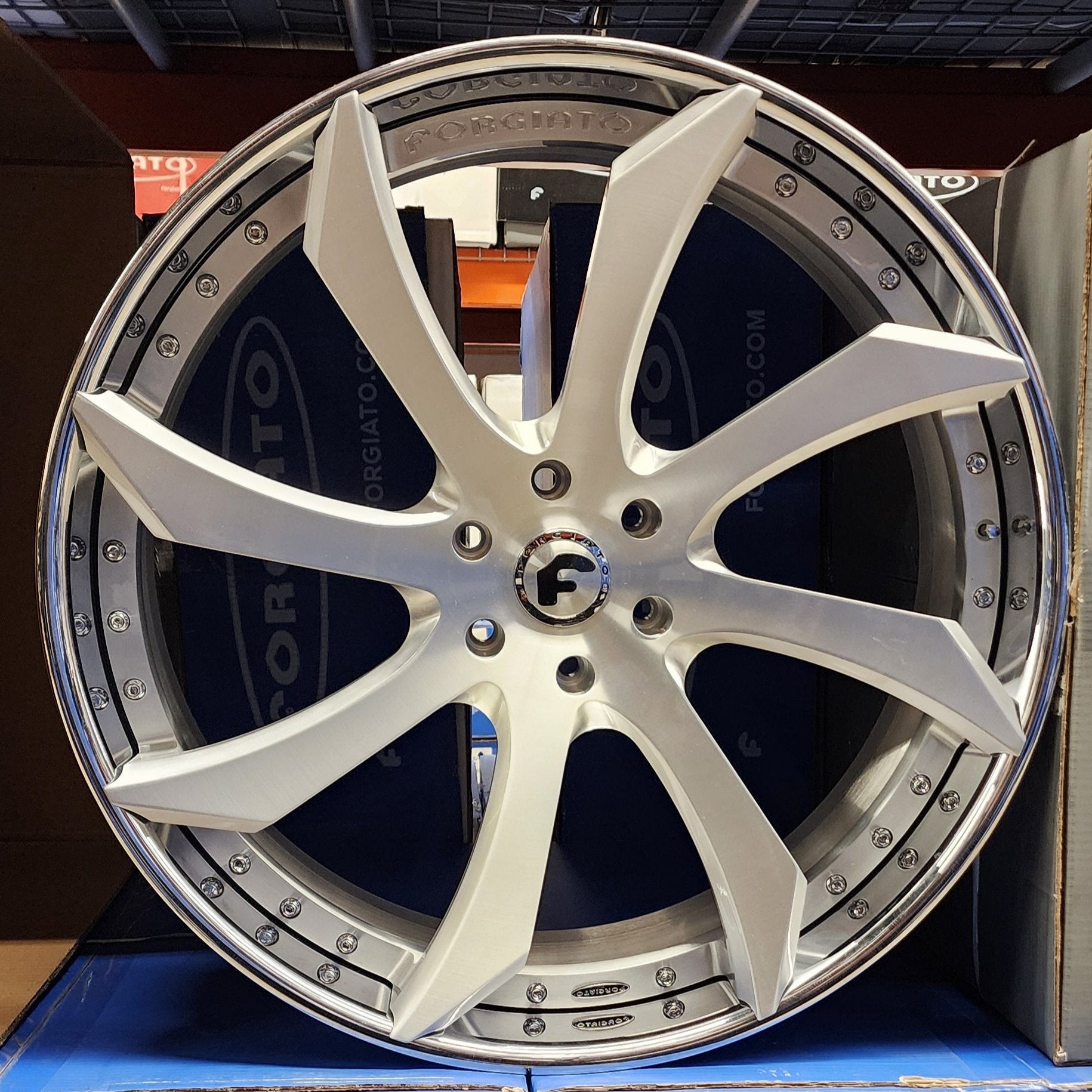 A single green leaf against a white background.