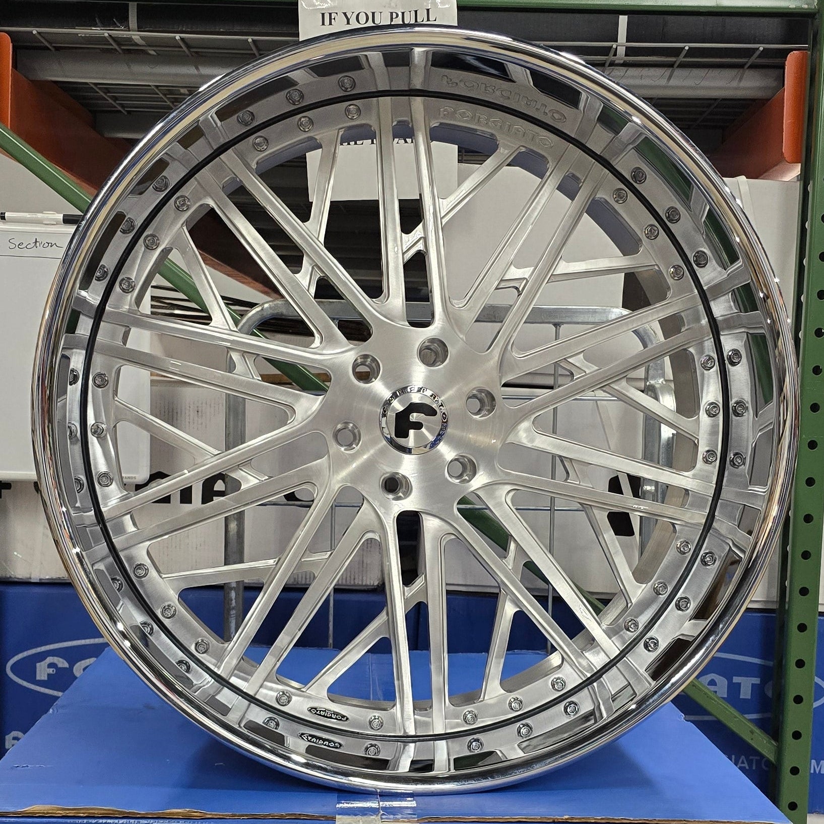 A single green leaf against a white background.